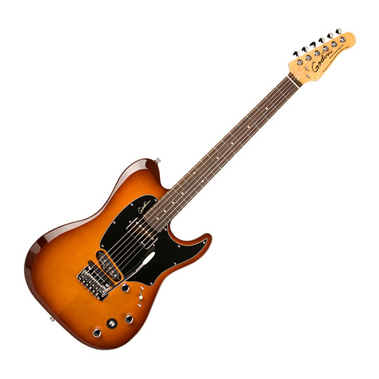 UPC 623501038138 product image for Godin Session Custom Tripleplay Guitar, Canadian Basswood Body, Rock Maple Neck | upcitemdb.com